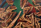 Vizyoner Sanat Eserleri Yaratıcılığın Sırlarını Araştırıyor