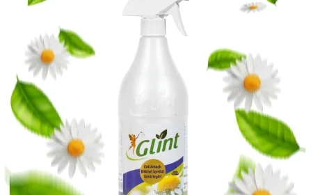 Glint: Bitkilerin Gücüyle Sürdürülebilir Temizlik!
